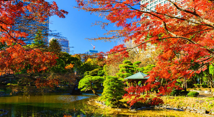 Tokio Herbst